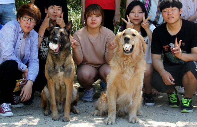 수성대 소운동장에서 애완동물관리과 교수와 학생들에게 포구 훈련을 받은 뒤 기념촬영하고 있는 탑(왼쪽)과 샘슨. 수성대 제공