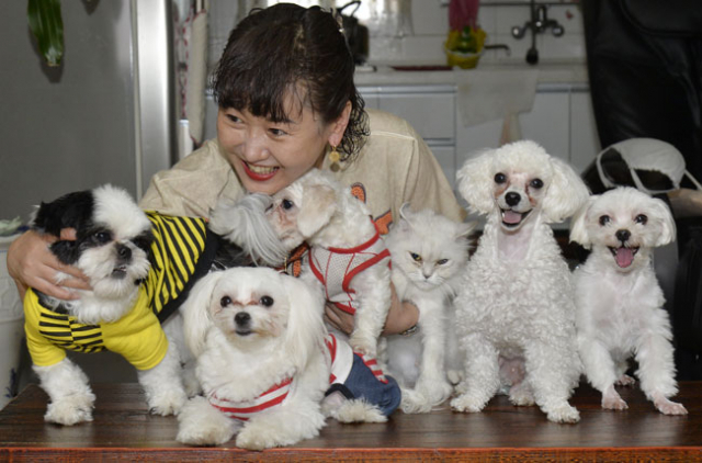 강아지 5마리와 고양이 1마리를 키우는 김미영 씨. 자녀들은 학교에 가고, 남편은 회사를 간 후 거실에서 6마리의 또다른 가족구성원과 즐거운 시간을 보내고 있다.
