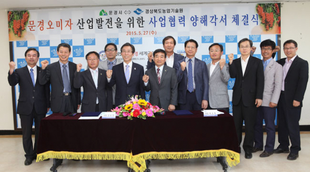 경상북도농업기술원은 최근 문경시와 우수한 오미자 품종개발 업무협약을 맺고, 2020년까지 우수한 오미자 품종 6종 이상을 개발