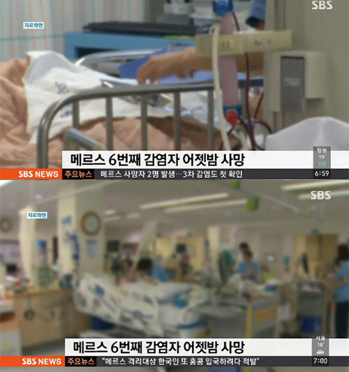 사진. SBS 뉴스 방송 캡쳐