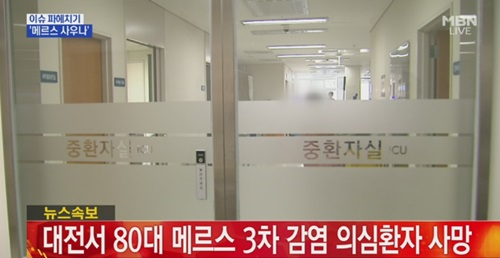 사진. MBN 뉴스 캡쳐