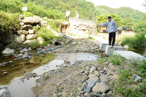 경산 와촌면 신한리 계곡에서 신한저수지로 물을 대기 위한 신한취입보(큰 사진)와 신한취입보에서 신한저수지로 물이 흘러들어 가야 하는 입구(작은 사진). 용수로 중간 중간에 퇴적토가 쌓여 물이 저수지로 흘러들어 가지 못한다. 김진만 기자