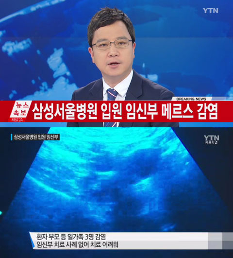 사진. YTN 뉴스 캡쳐