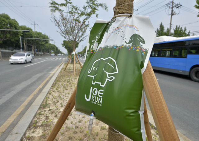 14일 대구 달서구 성서공단로 중앙분리대 가로수에 물주머니가 달려 있다. 달서구청은 뿌리가 활착되지 않은 나무 130그루에 물주머니를 설치해 가뭄 장기화에 따른 수목 고사 예방에 나섰다. 우태욱 기자 woo@msnet.co.kr