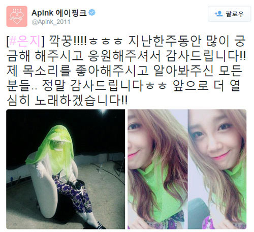 사진. 에이핑크 공식 트위터