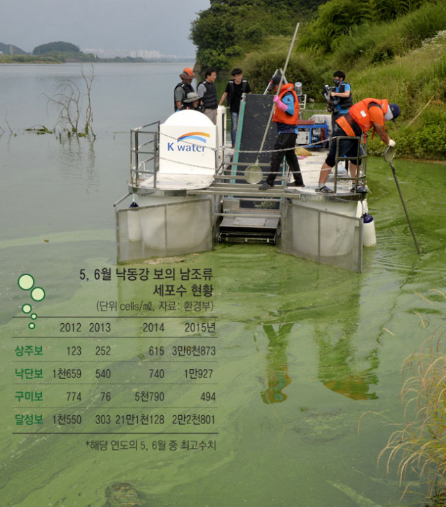 23일 대구 달성군 구지면 도동서원 앞 낙동강에서 녹조가 발생하자 수자원공사가 녹조 제거선을 띄워 녹조를 걷어내고 있다. 성일권 기자 sungig@msnet.co.kr