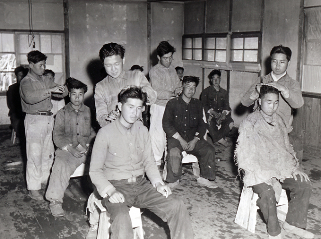1951년 4월 18일 대구에서 이발을 하고 있는 신병들