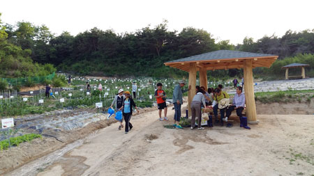 가족들과 텃밭을 찾은 도시민들이 농작물을 돌보며 휴식을 취하고 있다. 영주시 제공