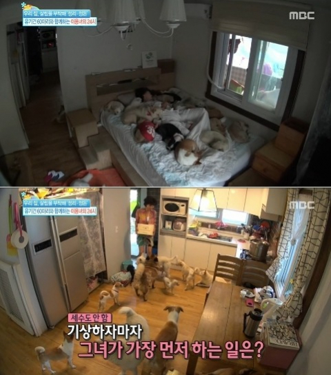 사진. MBC 방송 캡쳐
