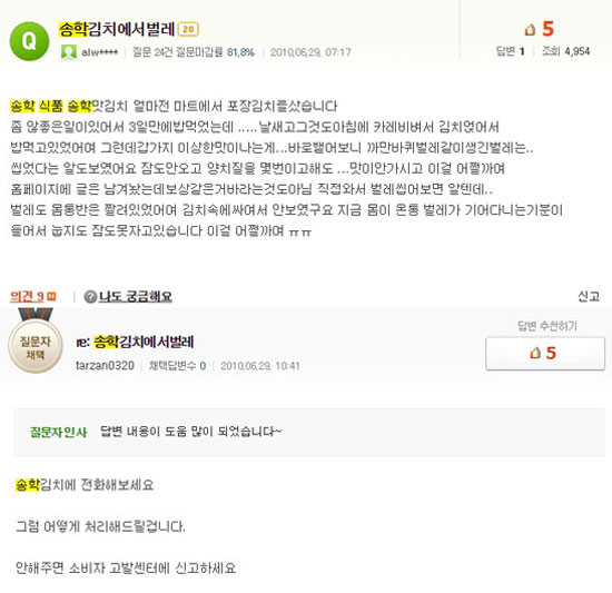 사진. 네이버 지식인 캡처