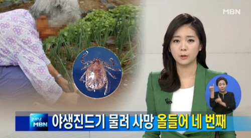 사진. MBN 뉴스 캡처