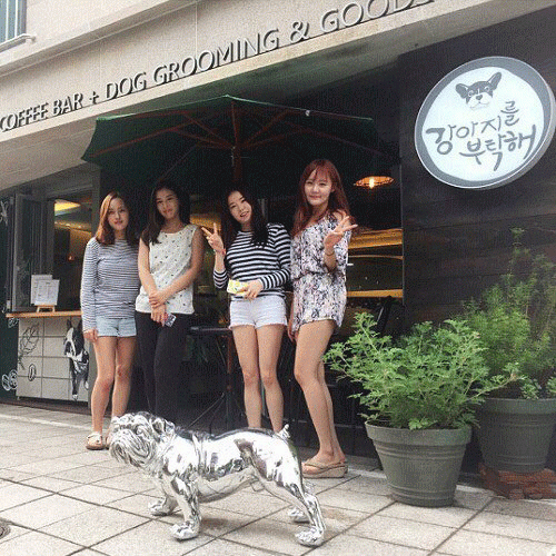 사진. 이예림 인스타그램