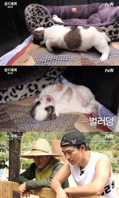 사진. tvN 방송 캡쳐