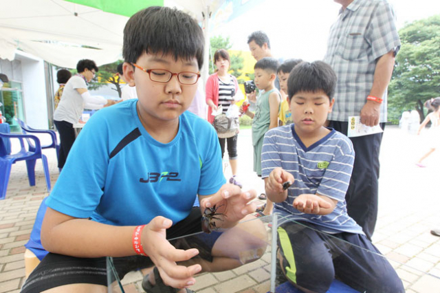 여름방학을 맞아 예천곤충페스티벌을 찾은 어린이들이 장수풍뎅이와 사슴벌레 등 살아있는 곤충을 직접 만지며 신기해하고 있다. 예천군 제공