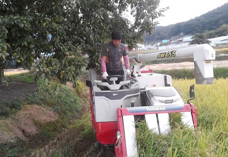 고령군 대가야읍에서 벼와 수박 농사를 짓는 20대 젊은 농사꾼 황유명 씨는 오늘도 부농의 꿈을 이루기 위해 트렉터를 몰고 있다.