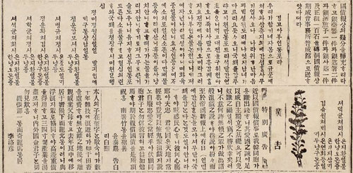 대한매일신보 1907년 3월 8일 자 