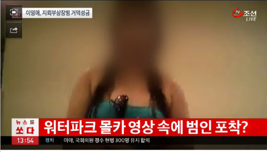 사진. TV조선 캡처