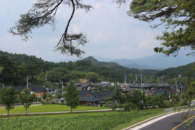 봉화읍 거촌1