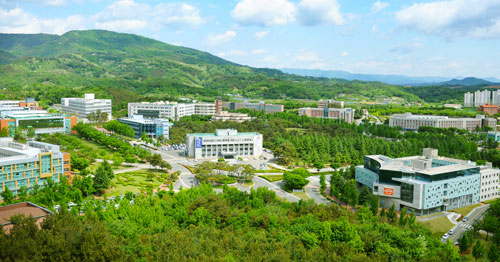 대구가톨릭대는 명품교육대학 구현을 기치로 내걸고 있다. 대구가톨릭대 제공