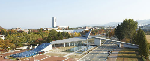 영남대는 국내외 대학평가와 정부 재정지원사업에서 괄목할 만한 성과를 거두고 있다. 영남대 제공