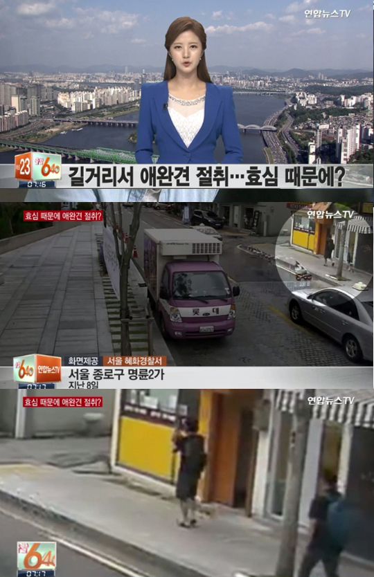 사진. 연합뉴스TV 뉴스 캡처