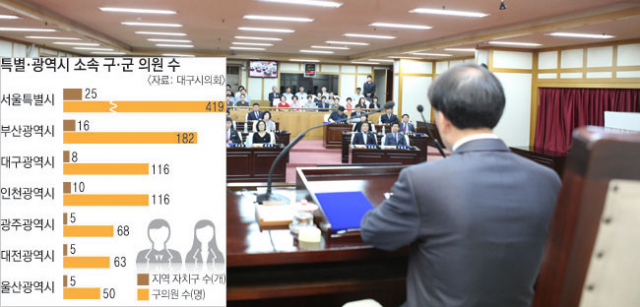 주민들과 전문가들은 기초의회가 존재의 이유를 증명하기 위해서는 환골탈태가 필요하다고 한목소리를 내고 있다. 사진은 대구시의회와 대구시내 기초의회 모습. 매일신문 DB