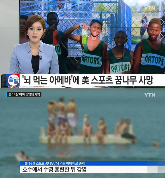 사진. YTN 뉴스 캡처