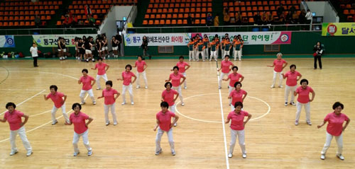 2015 대구시민생활체육대축전이 5, 6일 코오롱야외음악당 등 12곳에서 열린다. 사진은 지난해 대축전 모습. 대구시생활체육회 제공