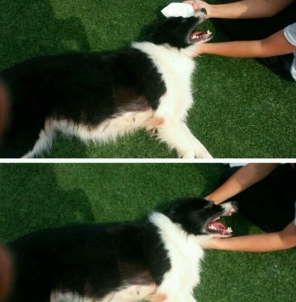 인터넷 한 커뮤니티에 올라온 캡처 사진