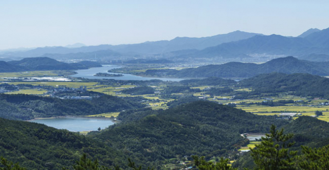 냉산과 낙동강을 끼고 있는 구미시 해평면 전경. 해평 길씨 문중의 역사가 시작된 지역이다.