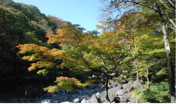 사진. 한라산 첫 단풍. 기상청 제공