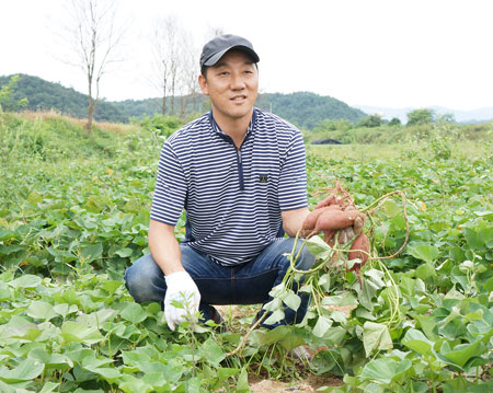 정부가 선정하는 