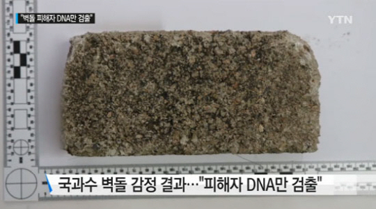 사진. YTN 뉴스 캡처
