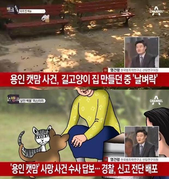 사진. 채널A 뉴스 캡처
