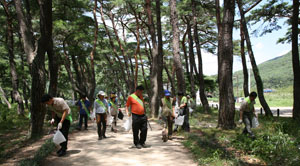 대구지방환경청 직원들이 생태환경보전지역을 찾아 환경정화활동을 하고 있다.