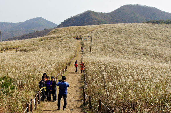 가을을 한 아름 안은 경주가 걷기 좋아하는 사람들을 부르고 있다. 사진은 무장봉. 경주시 제공