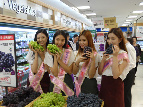 영천 포도아가씨들이 롯데마트 서울 잠실점에서 판촉활동을 하고 있다. 영천시 제공