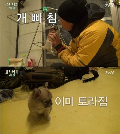사진. tvN 삼시세끼 캡처