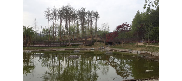 천 년 숲,