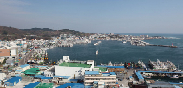 구룡포항 전경.