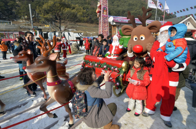 매일신문 D/B