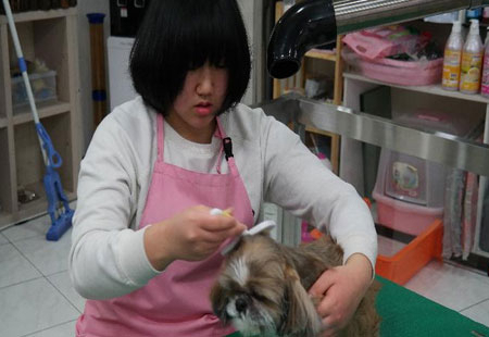 가온대안학교에 다니는 손민지 학생이 인턴십 프로그램에 참가해 애견 미용과 바느질을 배우고 있다. 가온대안학교 제공