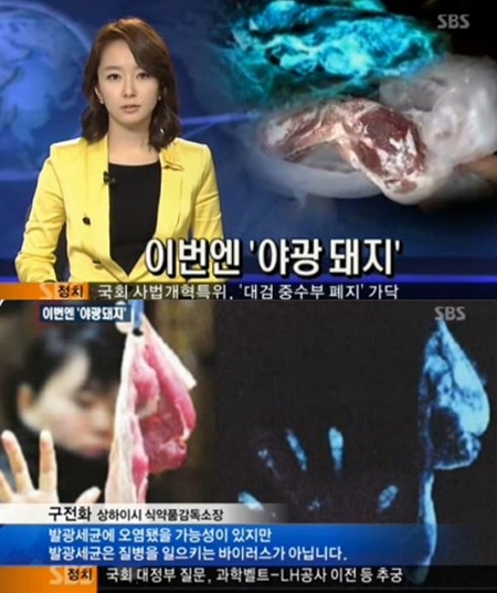 사진. SBS 뉴스 캡처