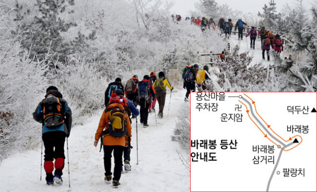 눈길을 헤치고 바래봉으로 오르고 있는 등산객들. 이채근 기자