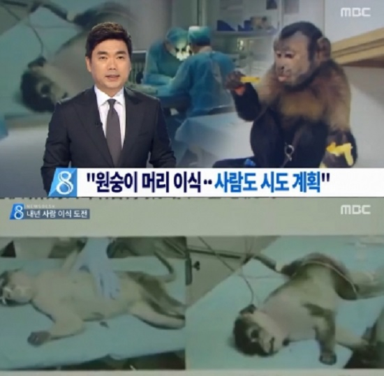 사진. MBC 뉴스 캡처