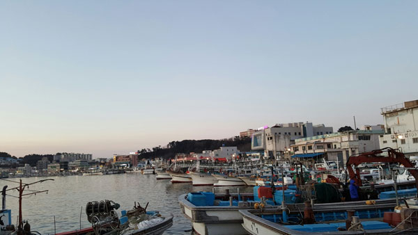 24일 울진군 죽변항의 모습. 23일부터 동해안에 내려진 풍랑주의보로 조업에 나서야 할 어선이 항구를 떠나지 못하고 묶여 있다. 신동우 기자