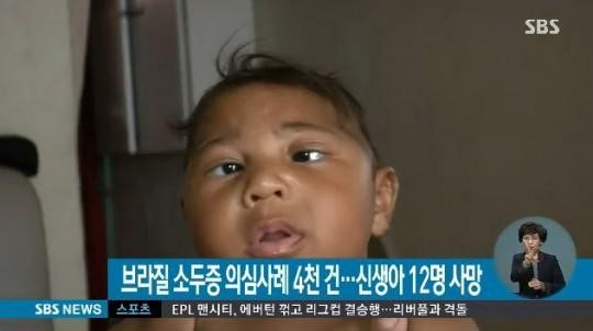 사진. SBS 뉴스 캡처