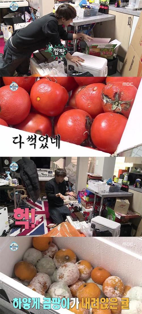 사진. MBC 나 혼자 산다 캡처