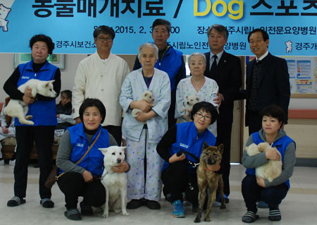 경주의 명견으로 잘 알려진 동경이가 경주시립노인전문요양병원에서 치료도우미로 나선다. 동물매개치료는 만성질환을 완화해준다는 연구결과가 있다고 병원 측은 밝혔다. 경주시립노인전문요양병원 제공