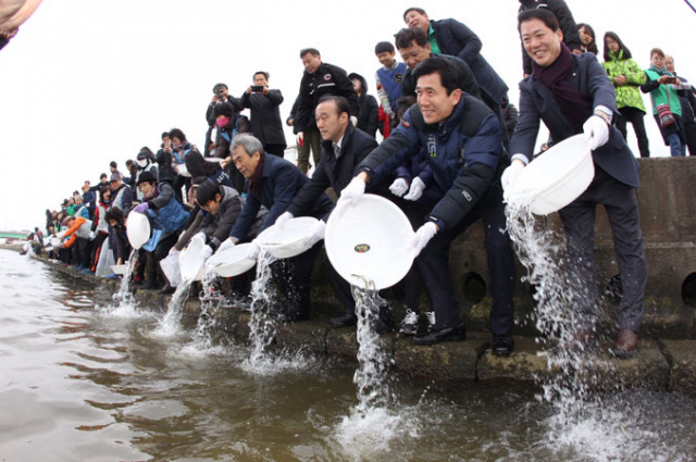 포항시와 경주시가 공동으로 형산강 둔치에서 어린 연어를 방류하고 있다. 포항시 제공